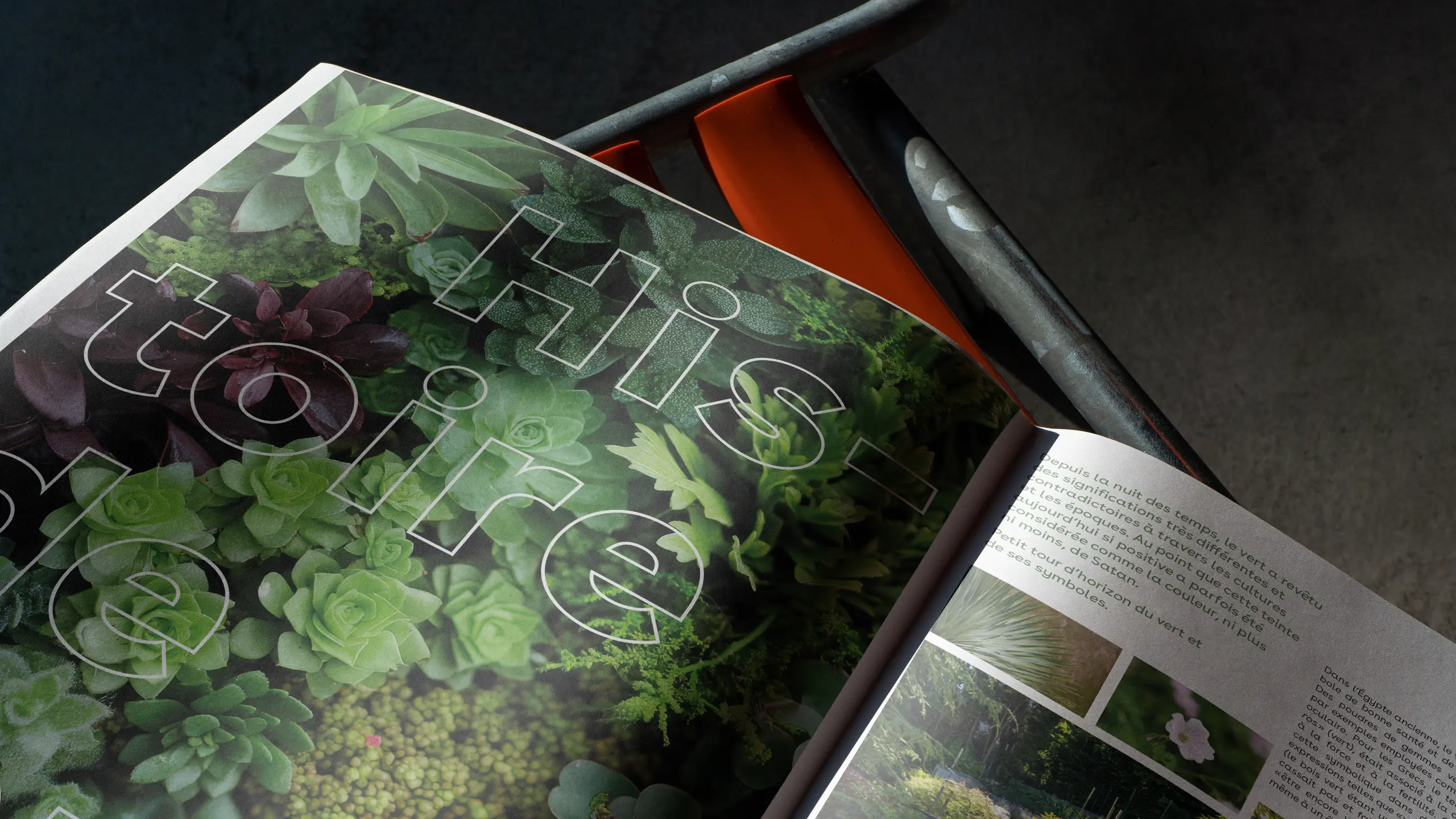 Journal « La Vie en Vert » de Depping Jardins, page 